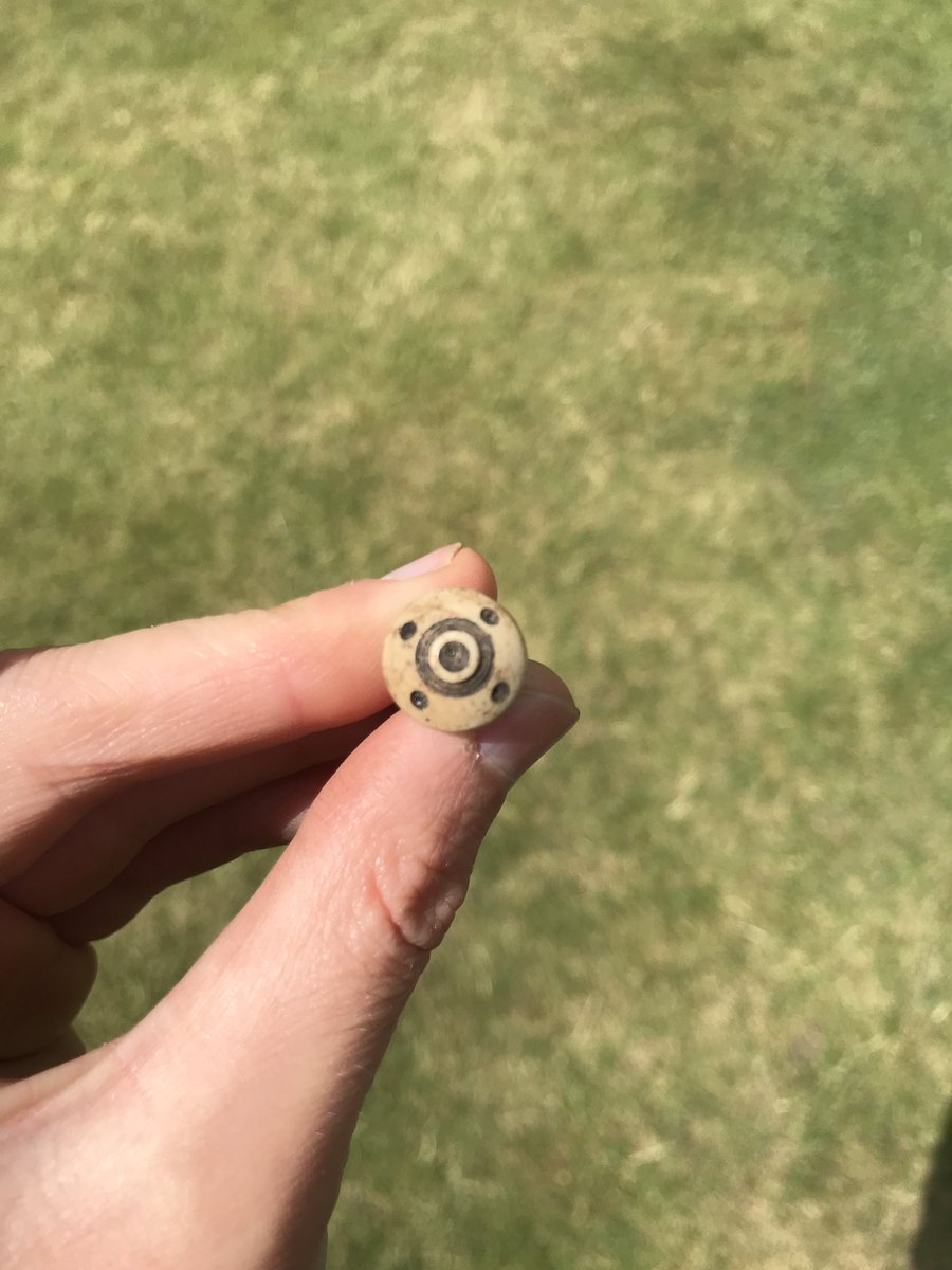 DUACE2025's tweet photo. Look at this lovely bone button found in Trench 2. Anyone got any thoughts about it’s age? #DUACE https://t.co/QwQF7wSlYc