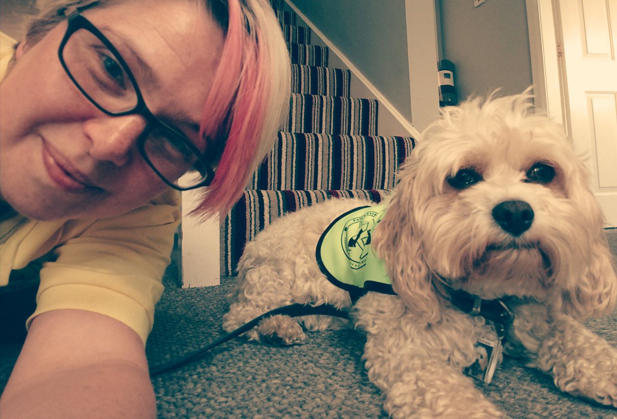 we3lovewalkies's tweet photo. Super proud of this little man on his first #pawsfortherapy visit! We totally spread the #Smudgielove #cavachon #dogsoftwitter #doglovers @ILoveTheIOM @mark1photos @ https://t.co/lzjpGRyhhy