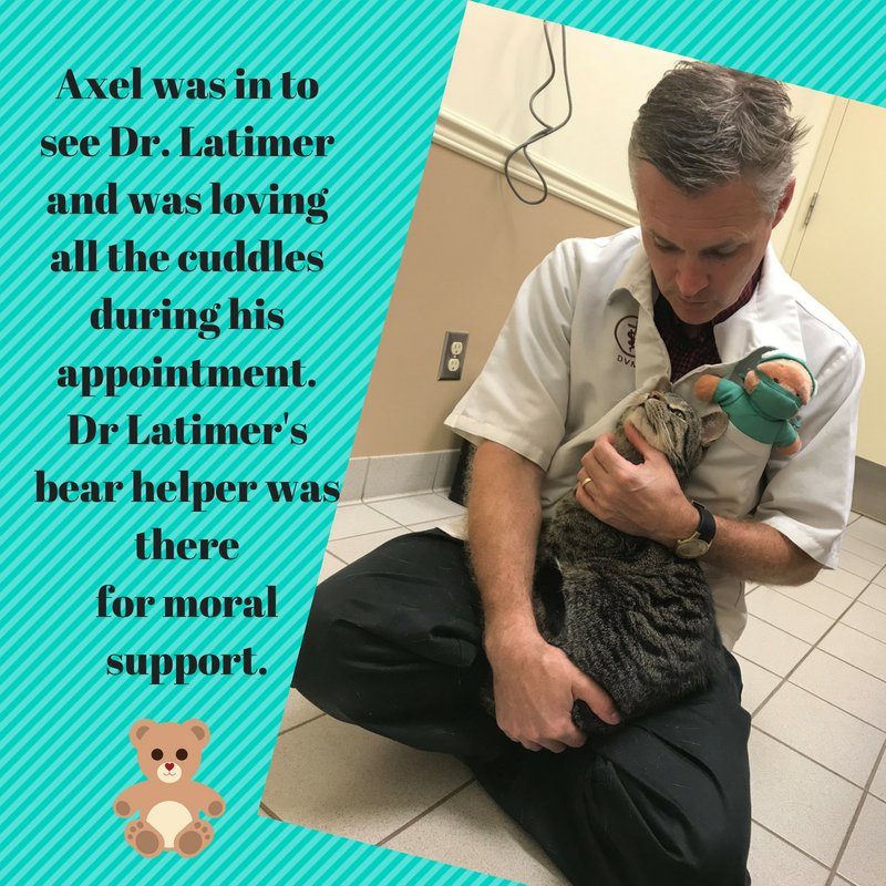 PahKingston's tweet photo. https://t.co/CZjlYb9nn3 613-634-7123
#FREEfirstexam (see website for details & gift certificate) #weCARE #bookonlineANYTIME! https://t.co/rgKYdIavvo