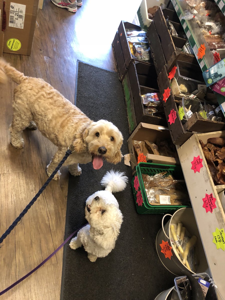 Ted Dale tweet media