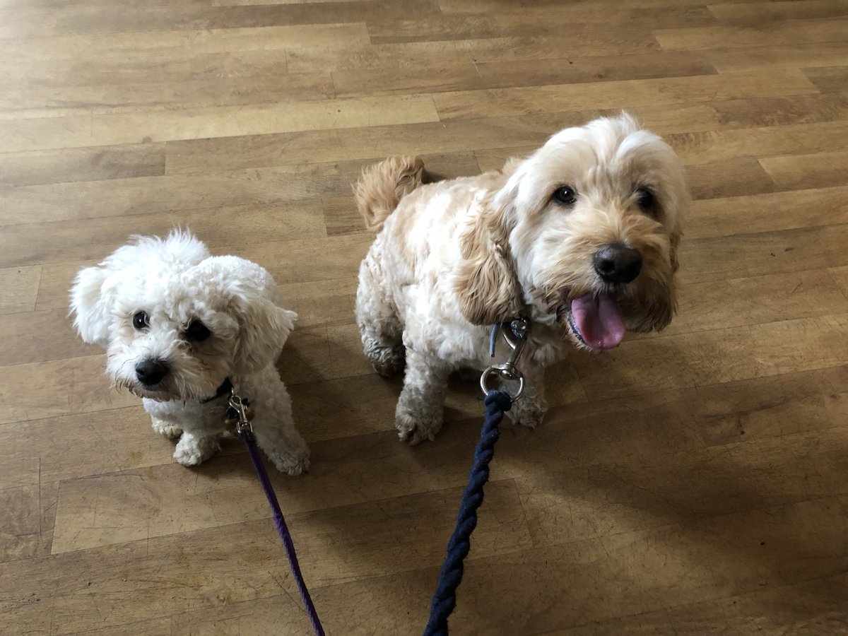 Ted Dale tweet media