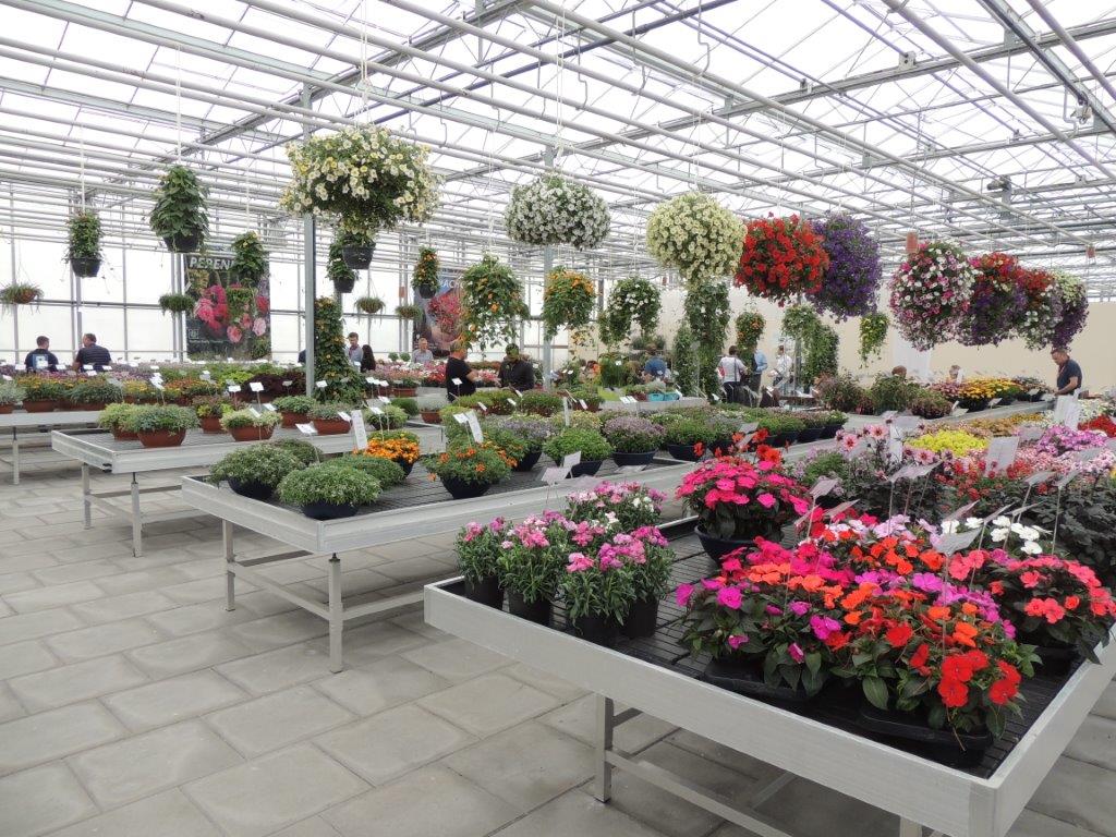 hortipak's tweet photo. Don is working at the Flower trials in Holland with customers on many new ideas and opportunities, bringing more plants into retailers next season. https://t.co/He9CMtfbbp