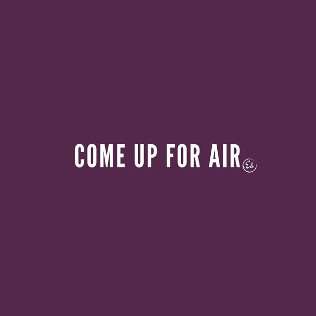edwinealmonte's tweet photo. Isn't easy to get consumed and lose track of time!?
.
Don't lose focus on what matters. Come up for air. —e.
__
#authenticEdwin
__
#insta #photo #practicalpositivity #positivity #positivevibes #positive #positivethinking #positivequotes #grit #mindset #a… https://t.co/lEzyWxLHTs https://t.co/iFzLH3bPc8