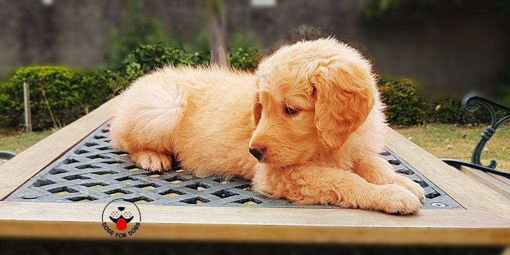 the_jerry's tweet photo. Are you also WAITING For The Market to Rise?
#money #today #market #dogefordogs #blockhedge2018bahrain #blockhedge2018bangkok #blockchain #blockhedge #cryptocommunity #bitcoin #blockchainevents #cryptocurrency #cryptoevents #Ethereum #BTC #cryptocurrencynews #cryptonews https://t.co/AQqrDnZdrf