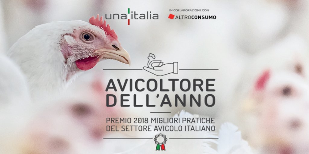 _Unaitalia's tweet photo. Ecco i vincitori del Premio Avicoltore dell'anno 2018! #pollopassioneitaliana
https://t.co/A1G2GKqj7R https://t.co/zlbWnOduB9