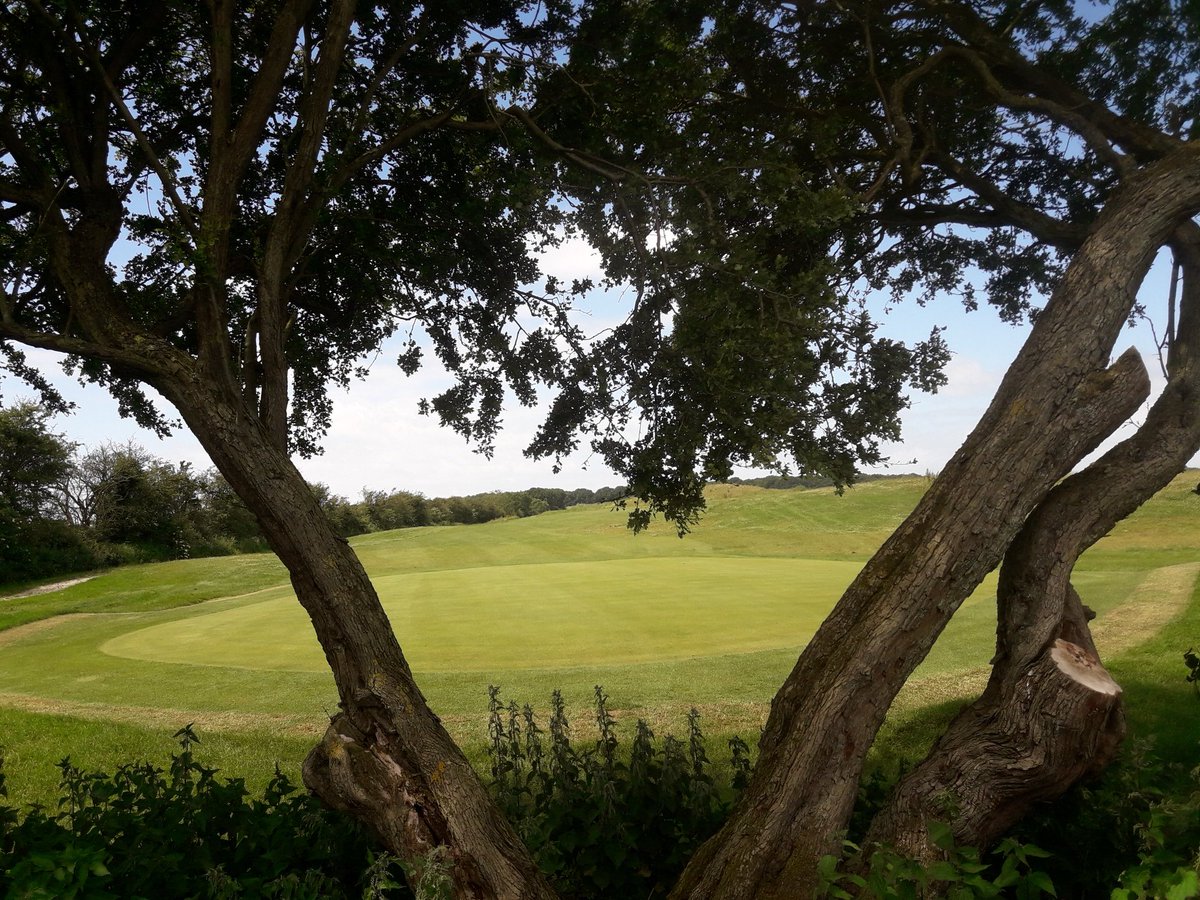 CaddingtonGolfC's tweet photo. Some pics of the last few #days #work
#greenkeeping #greenkeepers #golfcourse #strips #golfing #balconyview #18thhole⛳️#academycourse @HeadGK_CGC @deputyheadcgc @robinz_golf @mcgee_group @jonathancgaunt https://t.co/FPr5pBBy8V