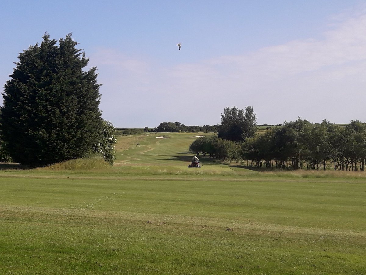CaddingtonGolfC's tweet photo. Some pics of the last few #days #work
#greenkeeping #greenkeepers #golfcourse #strips #golfing #balconyview #18thhole⛳️#academycourse @HeadGK_CGC @deputyheadcgc @robinz_golf @mcgee_group @jonathancgaunt https://t.co/FPr5pBBy8V