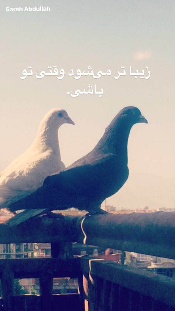 SarahAb02816484's tweet photo. Pic by #Sarah Abdullah,#Time3:30,#Kabul https://t.co/mHxoQ5C7WW