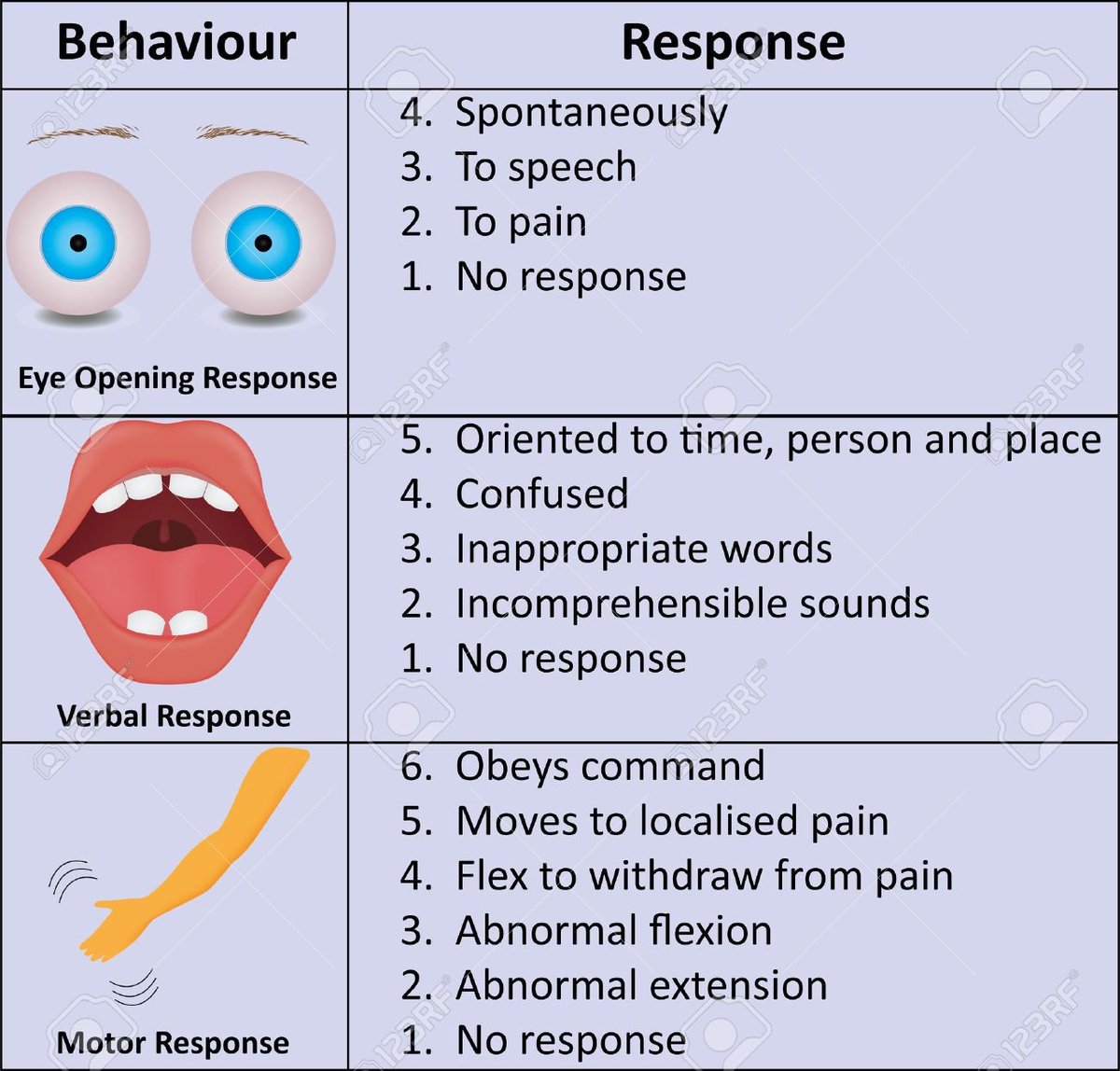 Cara Mengukur Glasgow Coma Scale Gcs Nilai Tingkat Kesadaran Manusia ...