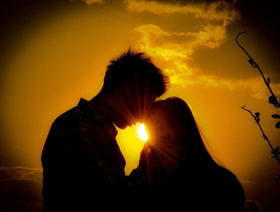 #perDare amore occorre esserne colmi; per covare astio, al contrario, è sufficiente essere vuoti. Per questo amare è così complicato, mentre odiare è oltremodo semplice. 
#KylsAhr #14giugno #ScrivoArte 
<a href="/noveliciouss/">Novelicious</a> <a href="/CasaScrittori/">Casa degli Scrittori</a> <a href="/CasaLettori/">Casa Lettori</a> <a href="/Libreriamo/">Libreriamo</a> <a href="/illibraio/">Il Libraio</a> <a href="/AerariumL/">Aerarium Litterarum</a>