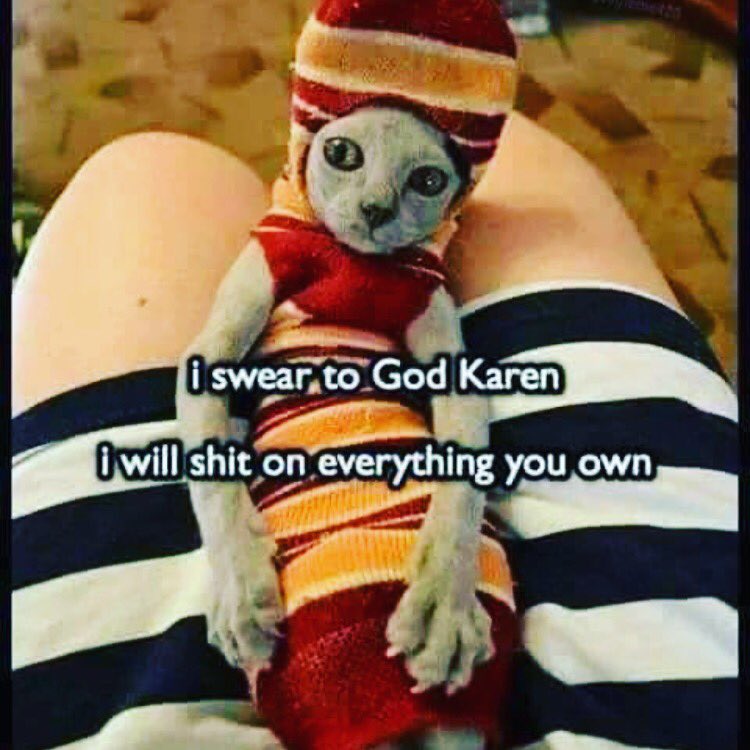 Danielle_Wood89's tweet photo. This tickled me too much #catlovers #toofunny #imadogperson 😂😂😂’I swear to god Karen’ https://t.co/7Pk4nlC0oc