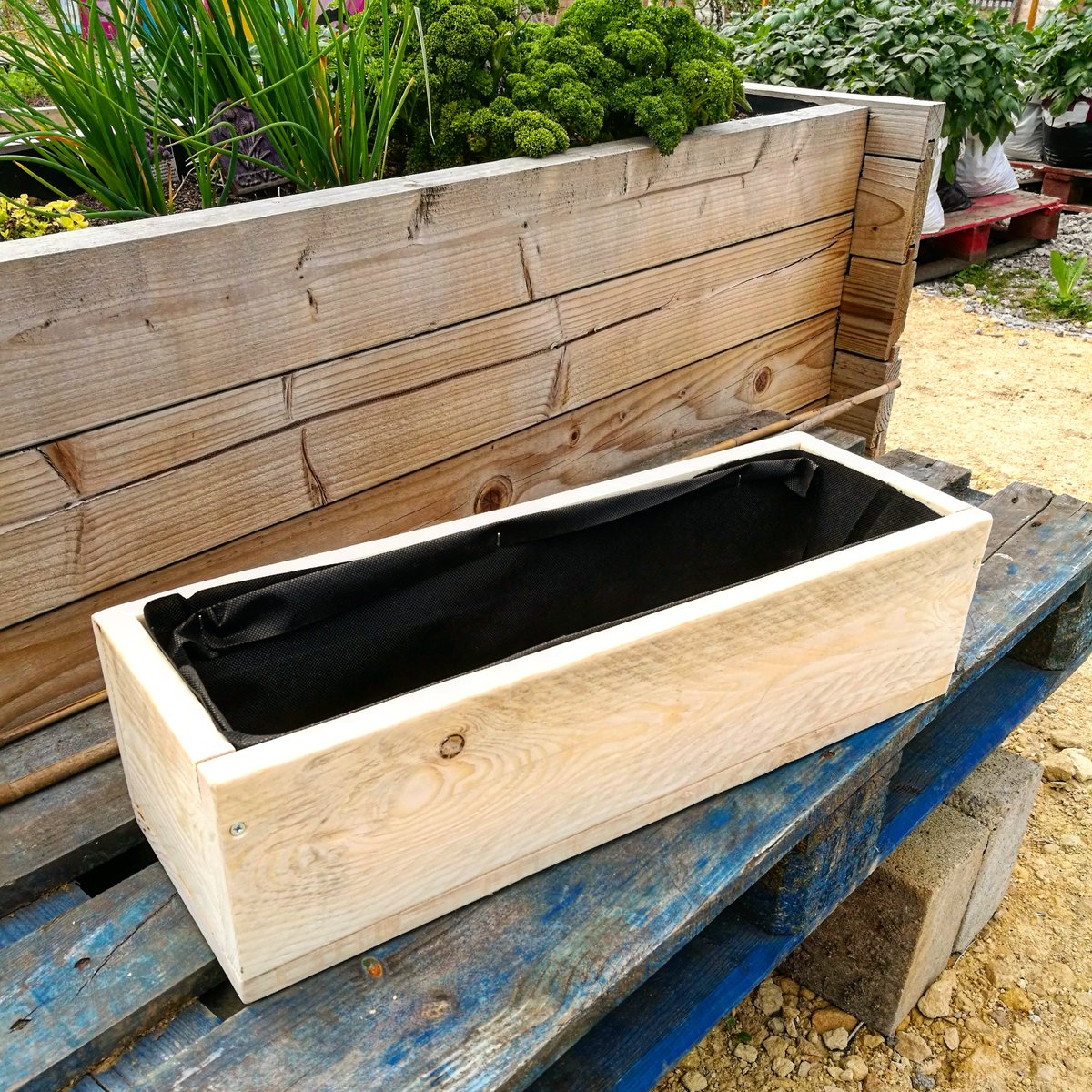 RootedinHull's tweet photo. Rooted in Hull are now offering planters made from recycled wood for your office spaces, planted with any herbs/veg/salads you want to brighten up your lunchtime. Freshly picked salads will always beat store bought stuff, and without the packaging. Just ask for details :) https://t.co/233btnGdcE