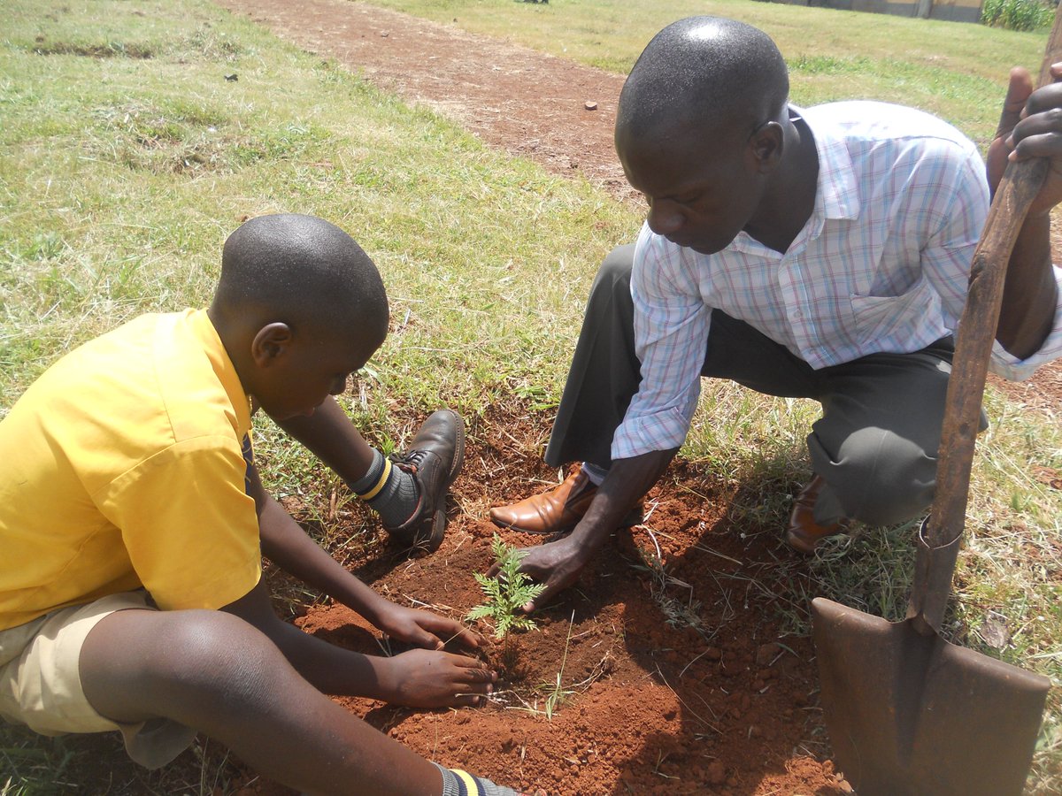 SchoolsTrees1's tweet photo. Every tree shed you see today was the effort of some one who took thier time to plant that tree. Plant a tree today. This way we can create more sheds while fighting Climate Change. #schoolstreeproject. https://t.co/xGAUJ1fb6E
