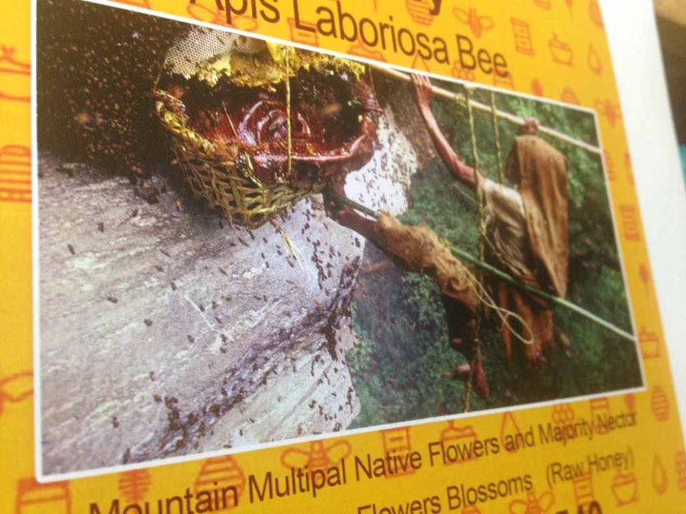 BeyondTheBee_NP's tweet photo. Order, newly harvested, your first Wild Honey from Nepal. It taste is,  most surprisingly best of the best honey you have tried. Please massage  us for more details.  #OrderHoney #WildHoney #BestHoney #CliffHoney https://t.co/MkYXPKBvV5