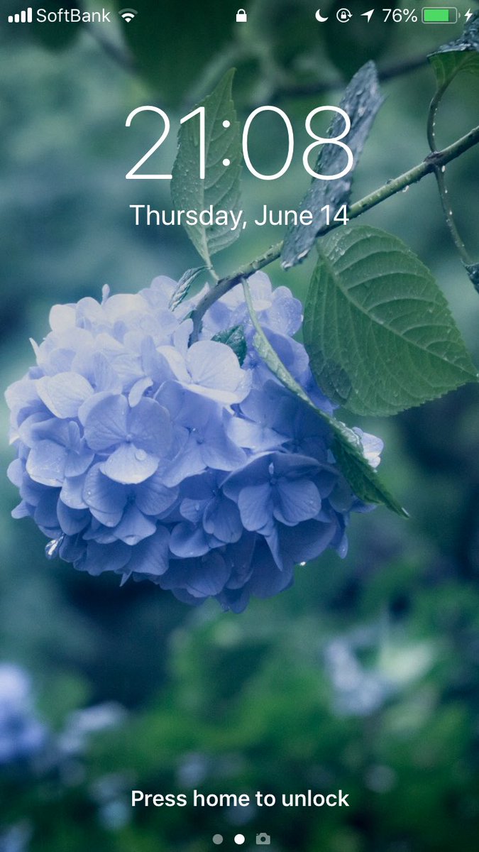 きの Sns運用 ロック画面がいい感じです 紫陽花 アジサイ