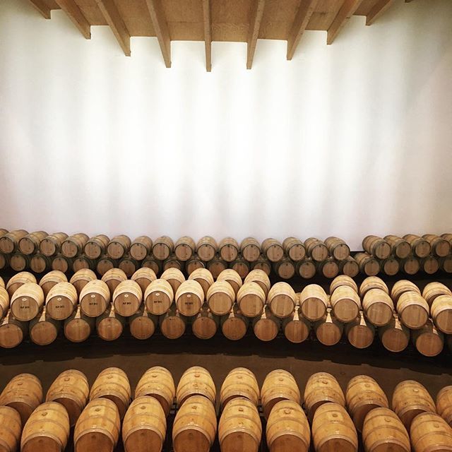 Did I mention that oak was a big thing in Rioja ? 
#riojaalavesa🍇🍷 #Rioja #LivingWine #imwsymposium #wine #barrels