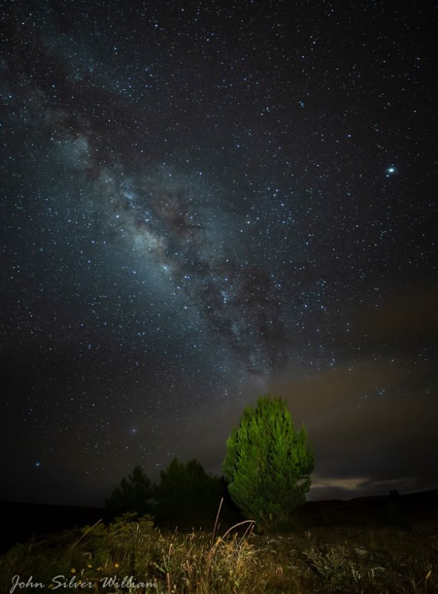 noctografosecu's tweet photo. John Guevara, SÁBADO GALÁCTICO
La noche del sábado  fue una de las mejores noche de estrellas que he vivido , toda la noche despejado , el centro galáctico  me permitió jugar  en diferentes composiciones como este arbolito, iluminado con luz cálida.
ISO 2200   30 SEG.   f  2.4 https://t.co/bQMFX2nUUe