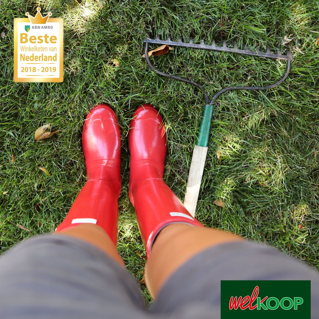 We doen ons best om zoveel mogelijk stemmen bij elkaar te harken! Stem jij ook op Welkoop als beste winkelketen van Nederland? Ga naar bestewinkelketen.nl/welkoop om je stem uit te brengen.