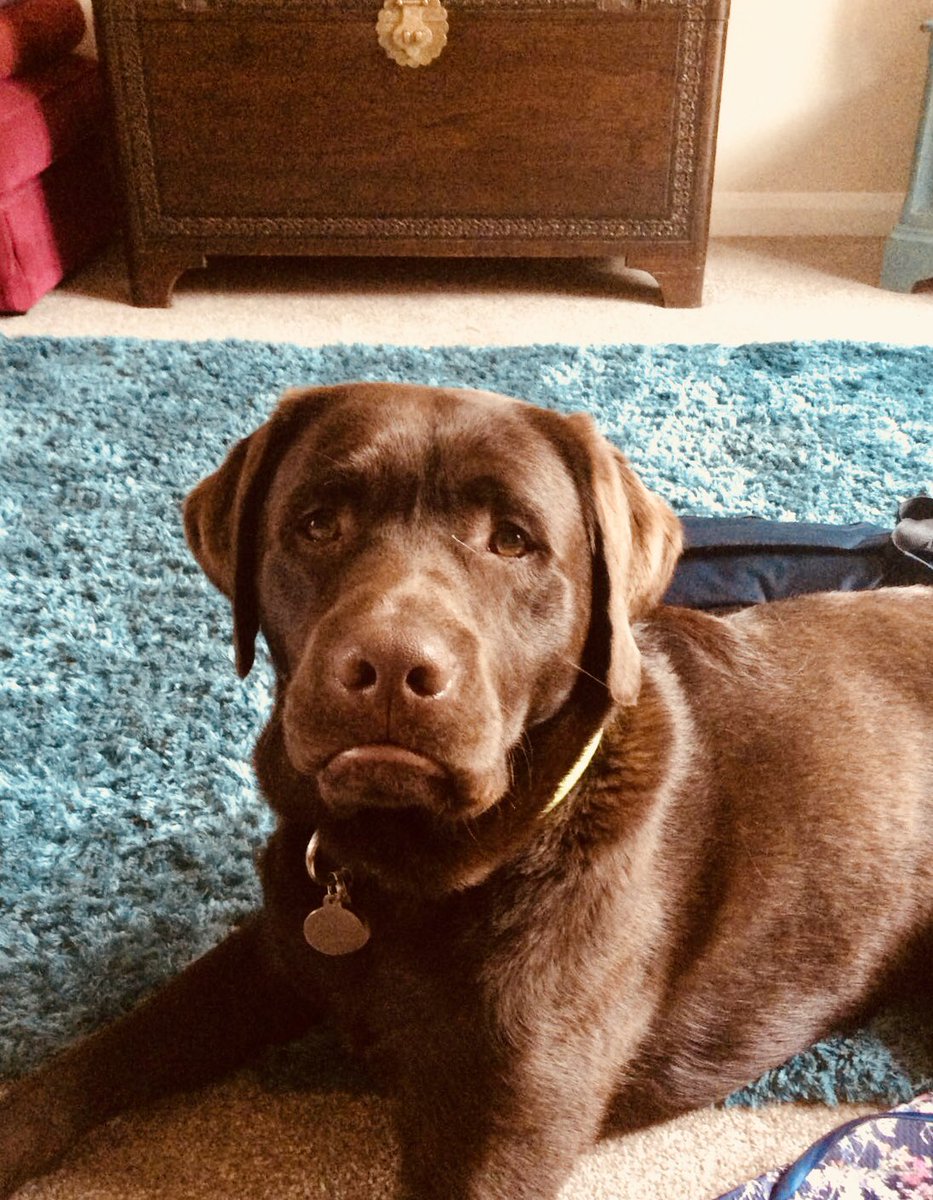 baileychoccy's tweet photo. So dis is my pouty face...... https://t.co/UcKAeLJthI