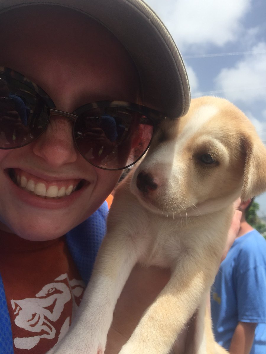 chloebrower24's tweet photo. Puppies &amp; Puerto Rico https://t.co/b3KVsyzNii