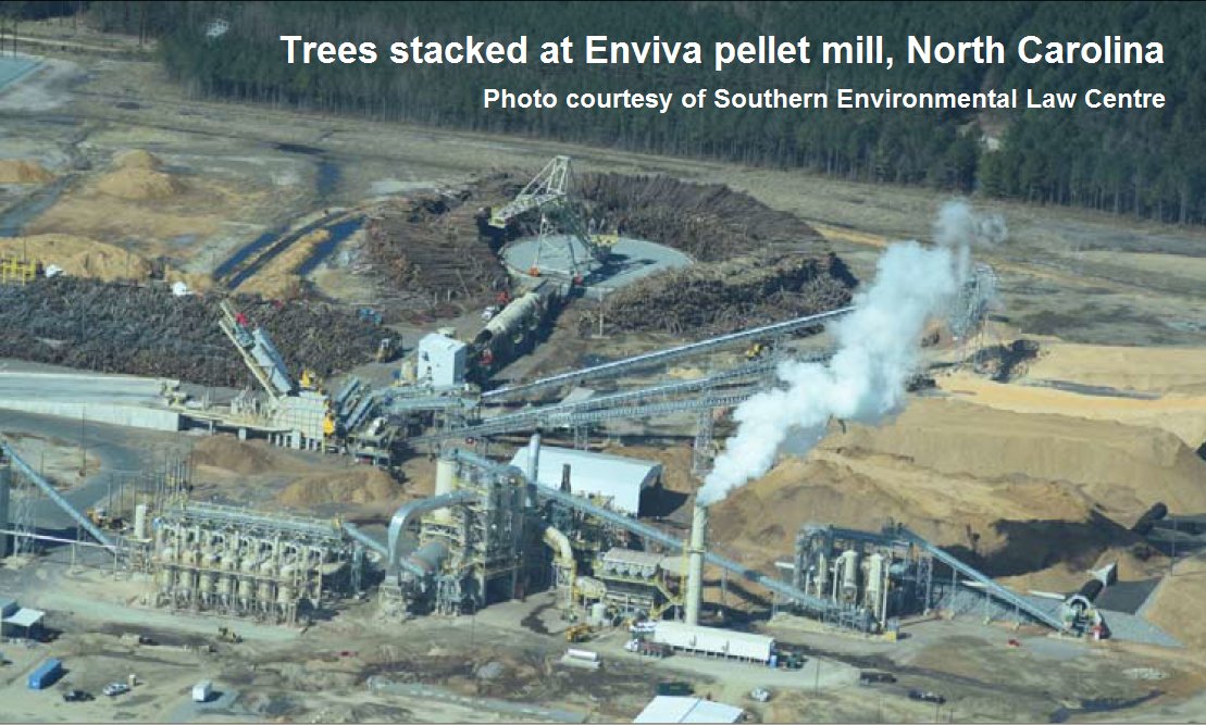 1alexmason's tweet photo. The EU has just agreed new #biomass rules that spell disaster for the #climate and global #forests. It's effectively given #coal plants across the continent the green light to burn trees instead. This is a disgraceful decision that will increase emissions. I predict a U-turn. https://t.co/FYh8ggBc6O