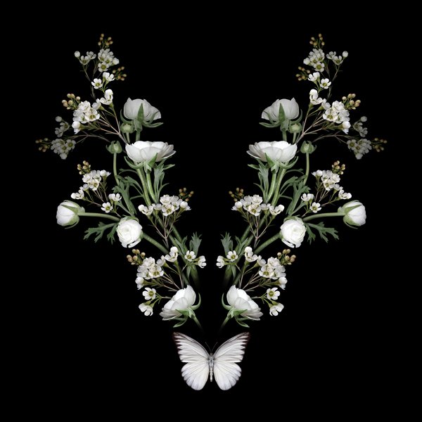 <a href="/hayward_gareth/">Gareth Hayward Art.</a> Yes love them all framed within the black card mount and black frame. Looks almost 3D. Lifelike!