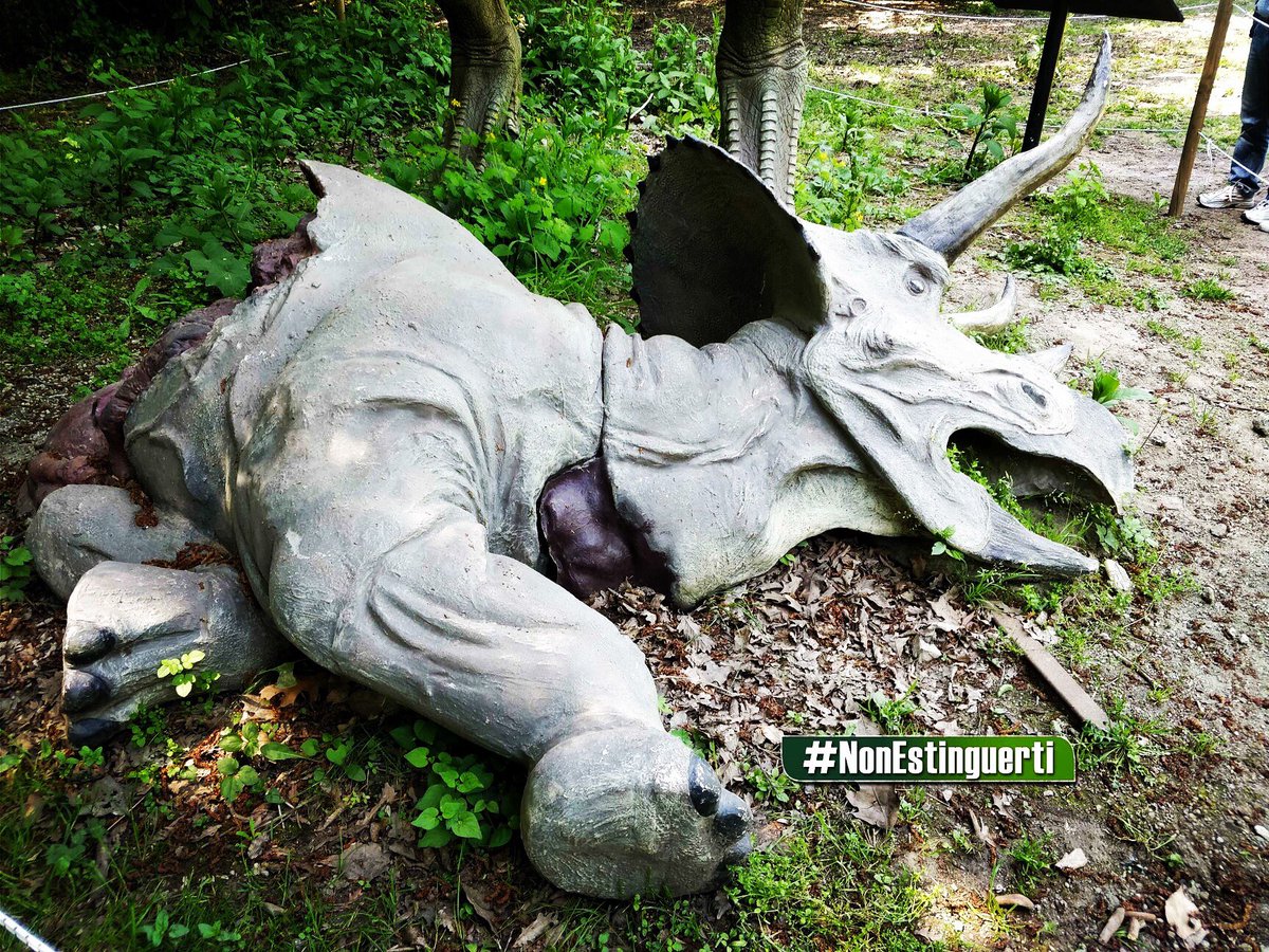 dinosauriDCO's tweet photo. 🦖 Week end #GIURASSICO agli Astroni il 16 e 17 GIUGNO a tema #JurassicWorld con scenografie originali, laboratori e ricostruzioni iperrealistiche di #dinosauri! 😁
FERITE DA DINOSAURO🦖
dalle 11 alle 13 e dalle 14 alle 17!
#NonEstinguerti! #DinosauriANapoli #CratereAstroni https://t.co/087KChfrE1
