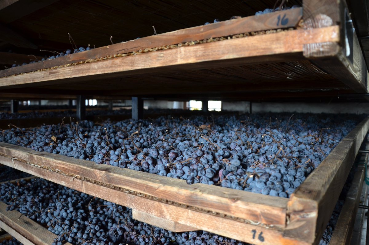 grappamarolo (@grappamarolo) on Twitter photo Do you know #grappa di #Amarone?
Find out all the characteristics that make this spirit so special on #MaroloHeritage: bit.ly/grappaamarone
#marolo #grappamarolo #spirits #mixology
<a href="/AmathusDom/">Dominic Guppy</a>
<a href="/drinksfusion/">Drinksfusion</a>
<a href="/AmathusSoho/">Amathus Soho</a>
<a href="/SquareMeal/">SquareMeal</a>
<a href="/joergmeyer/">Joerg Meyer</a>
<a href="/AmathusDrinks/">Amathus</a>
<a href="/AMATHUSBETH/">@AmathusBeth</a> Do you know #grappa di #Amarone?
Find out all the characteristics that make this spirit so special on #MaroloHeritage: bit.ly/grappaamarone
#marolo #grappamarolo #spirits #mixology
<a href="/AmathusDom/">Dominic Guppy</a>
<a href="/drinksfusion/">Drinksfusion</a>
<a href="/AmathusSoho/">Amathus Soho</a>
<a href="/SquareMeal/">SquareMeal</a>
<a href="/joergmeyer/">Joerg Meyer</a>
<a href="/AmathusDrinks/">Amathus</a>
<a href="/AMATHUSBETH/">@AmathusBeth</a>