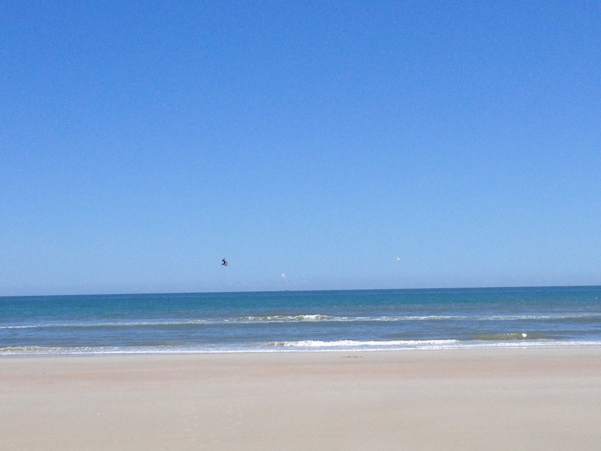 MarComMgr's tweet image. I was talking with a co-worker about how much work there is to be done right now. I said that sometimes I wished I could clone myself.  Then I decided that if I could clone myself, I still wouldn’t get more work done because one of me would be at the beach. #truth #beach