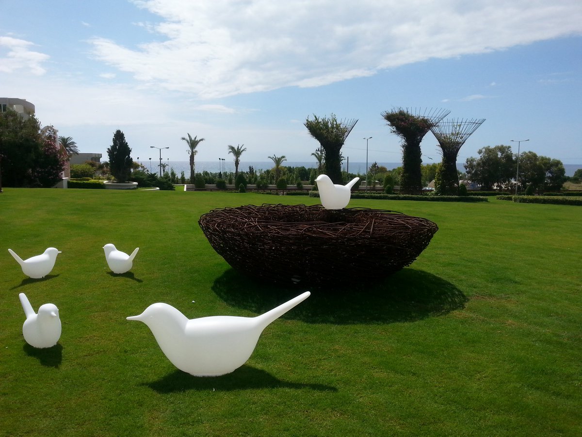 SerralungaItaly's tweet photo. Our #pulcino and #paloma welcoming you at the arrival at this prestigious 5 Star Hotel of the enchanting island or Rhodes
Visit our e-Shop: https://t.co/yiRmuxRsdU https://t.co/3LxNJV7Gnm