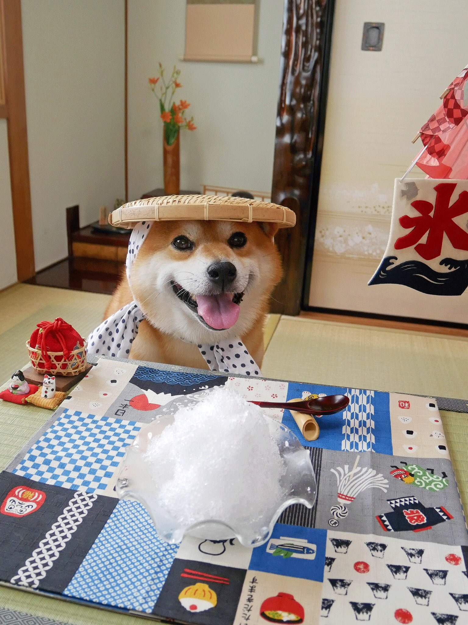 柴犬べりやん 夏はかき氷 シロップなし 食べるの大好きおやじ 目大きい 整形はしてません 写真写り良すぎ 柴犬 べりやん Shibainu Berry T Co W8p6ja8hil Twitter