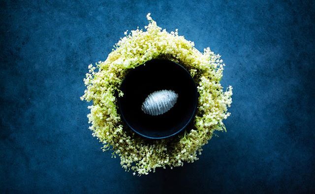 maaemo's tweet photo. From the current menu: Norwegian strawberries with elderflower, roses and cream 🌞🍓 https://t.co/hR8cwwtNr5 https://t.co/rQTeaTgguF