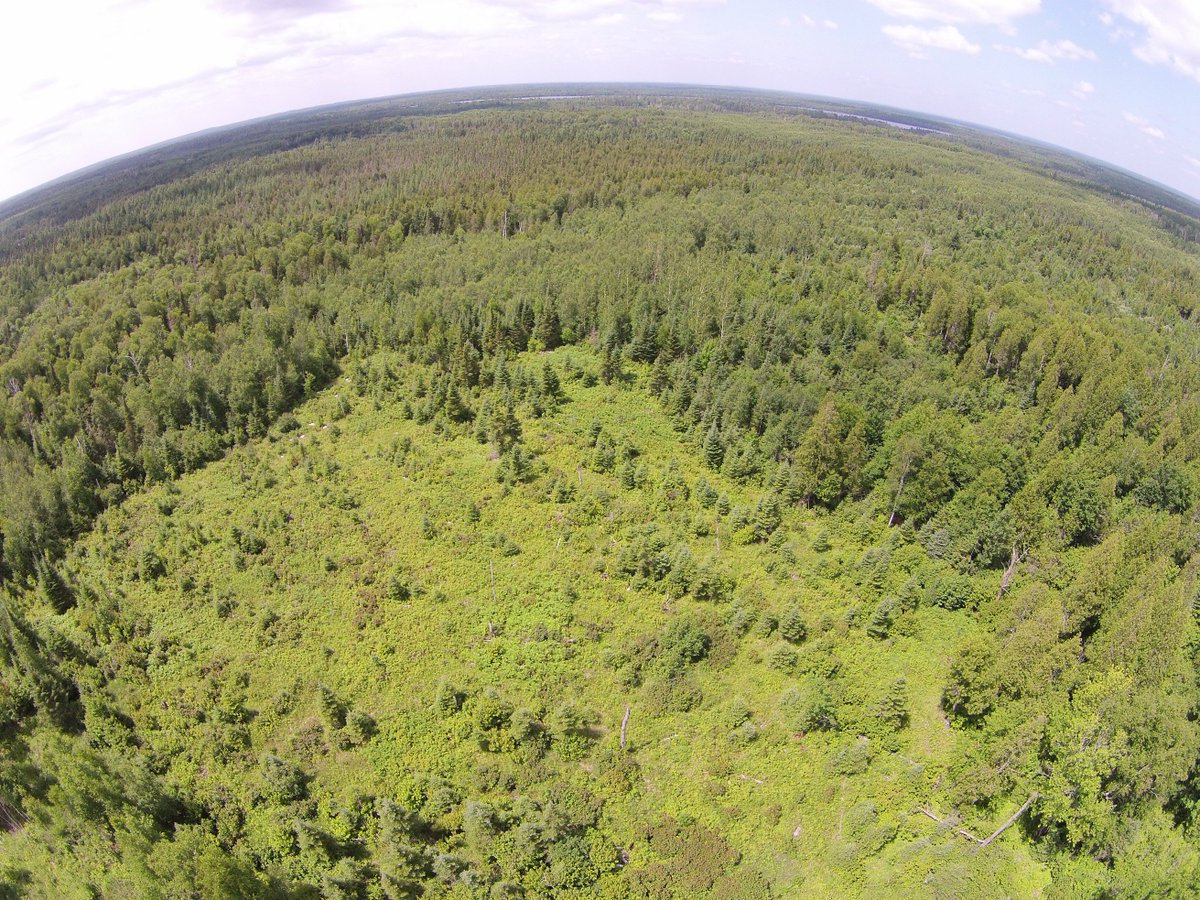 #PolyMet land exchange with <a href="/forestservice/">USDA Forest Service</a> will close on June 28. See what this means for #Minnesota #copper nickel mine: bit.ly/2JCTG1h