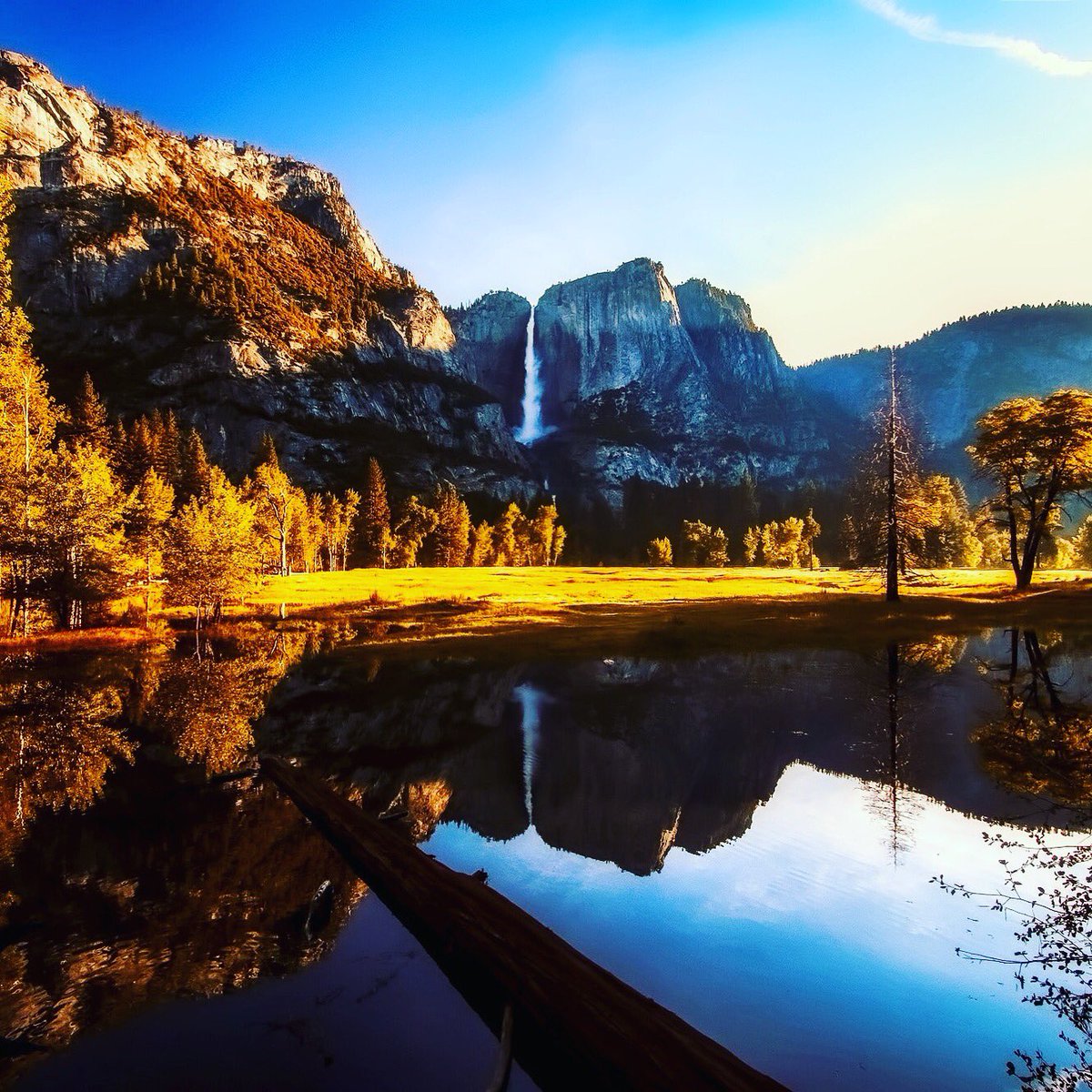 We love #nature #cpr #Thursday visit frcpr.com today for more #info on upcoming #cpr and #FirstAid trainings !!