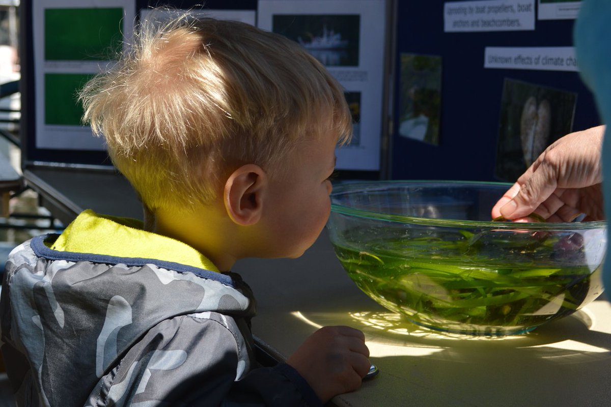 oceandayYYJ's tweet image. Another Fantastic World Oceans Day event! Thank you too @JacksonsIce , Smoke and Anchor, @pvamigos , @FishStoreYYJ , @yyjconferences , @gvicharbour , @eaglewingtours  and to our AMAZING participants! 

Great to see so many faces at this years celebration! 😀
#worldoceansdayyyj