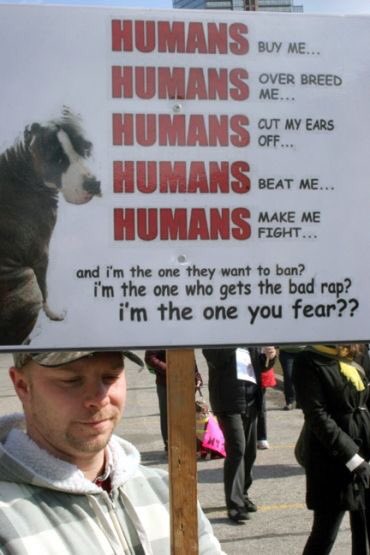 MoishesMom's tweet photo. Do I need to say more? #EndBSL #Adopt #AdoptaPibble. #Foster #Retweet. ππ»ππ»ππ»ππ»ππ»ππ»ππ»ππ» https://t.co/TISKuq79Rq