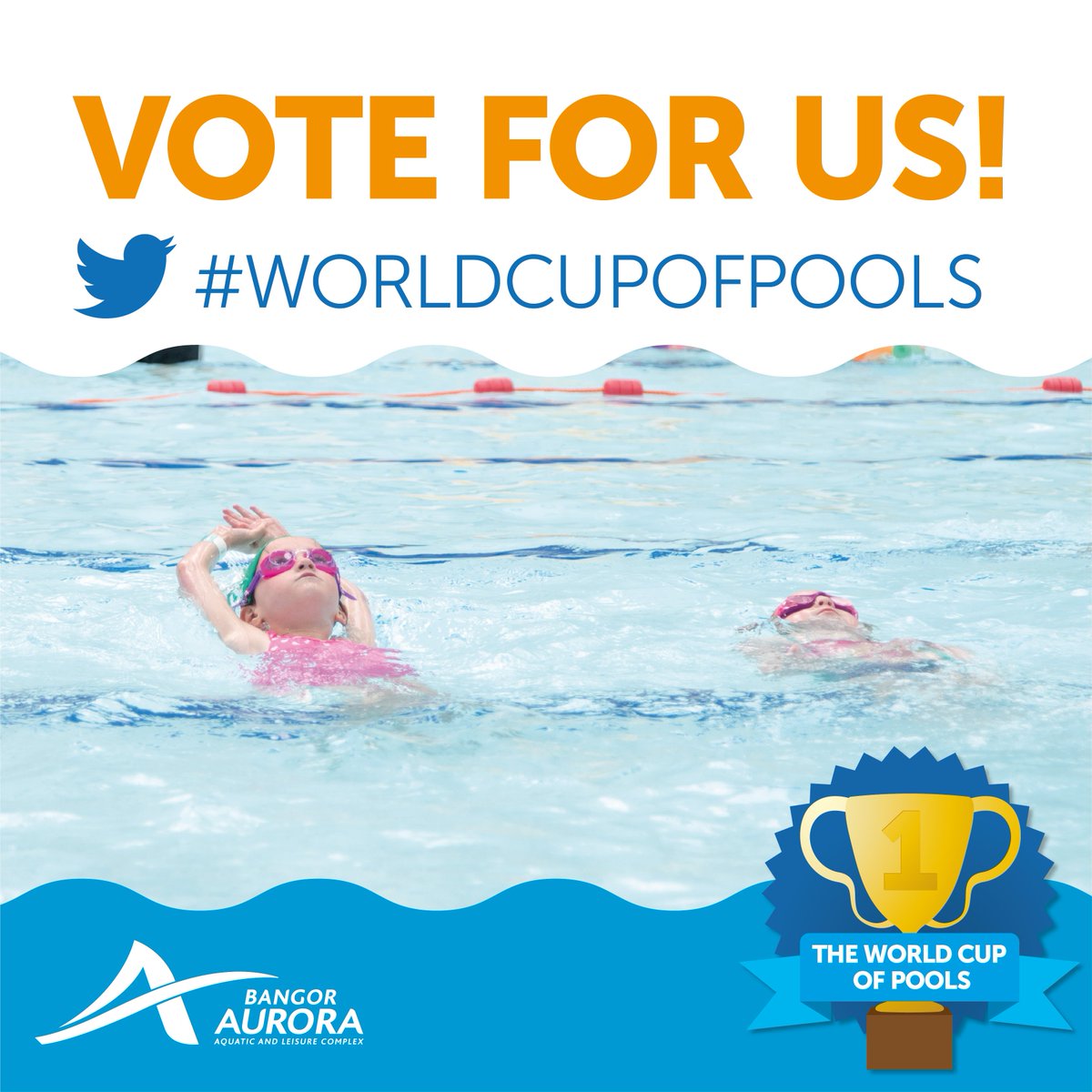 BangorAurora tweet media