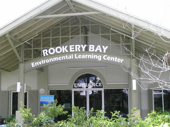 HondaofNaples's tweet photo. Tomorrow is Kids Free Friday at the Rookery Bay National Estuarine Research Reserve!  This popular summer education program provides FREE admission with programming for children 12 and younger who are accompanied by an adult. Learn more here:       https://t.co/7ZVHz98WM0 https://t.co/4XyeNj4JHe