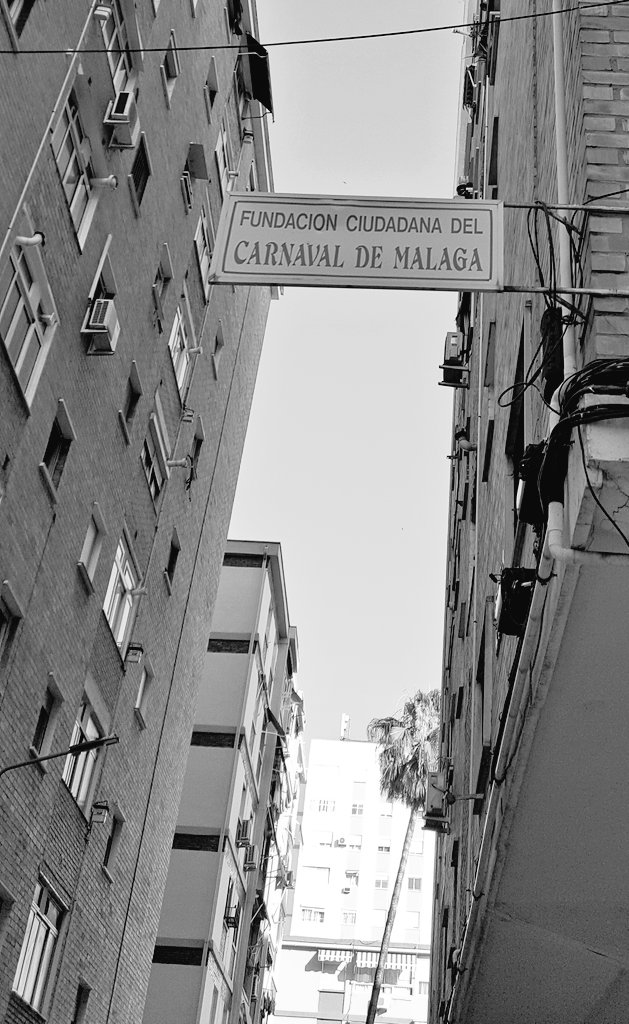 Carnaval de Málaga tweet media