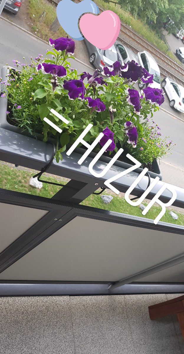 Nur (@engizemlii) on Twitter photo 