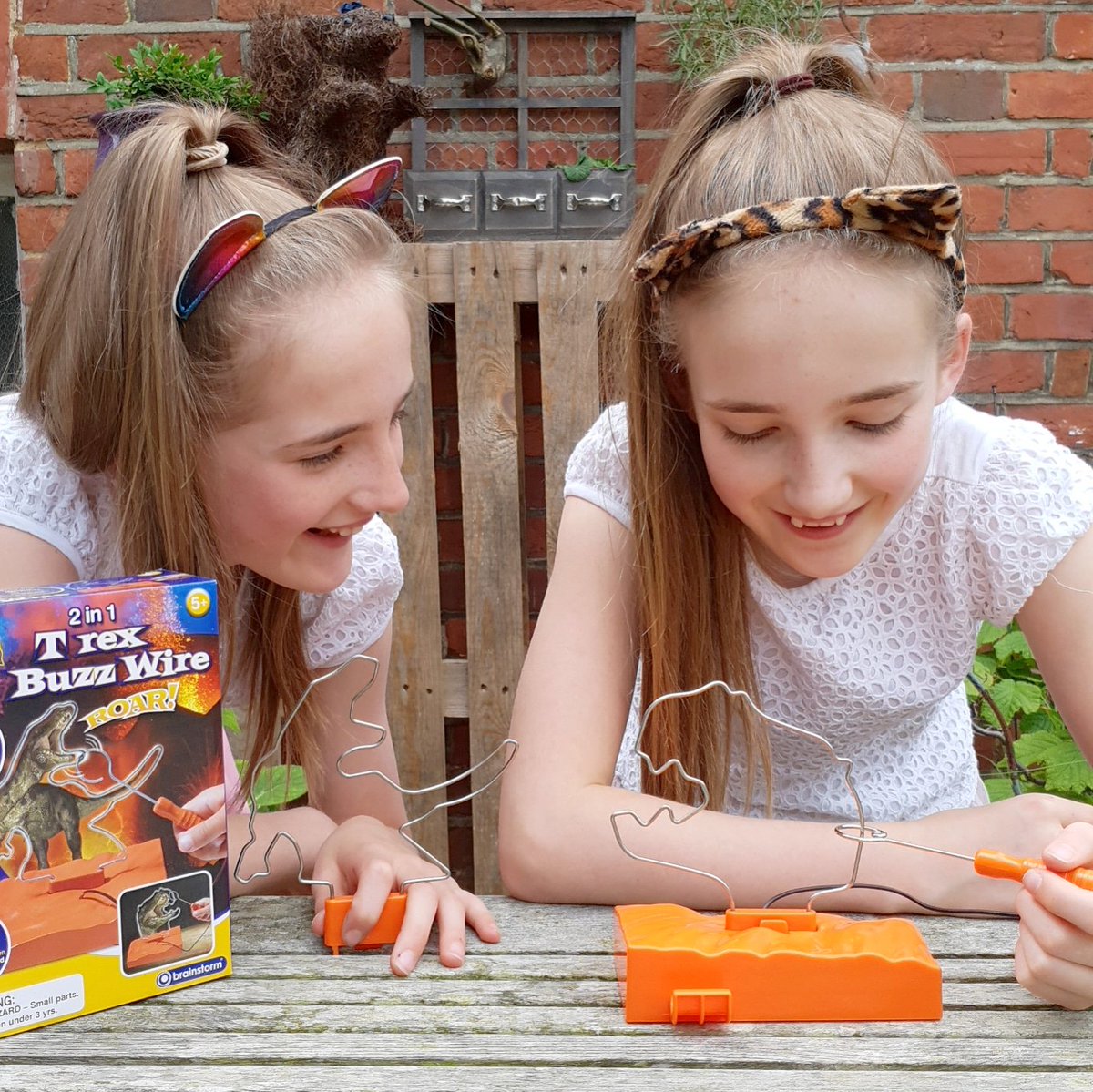 BlueBearWood's tweet photo. The whole family loves the T-Rex Buzz Wire #dinosaurs So much fun and much harder than you'd think it would be. Have a look at their Insta stories to see it in action alone with other @BrainstormLtd toys https://t.co/36sTLqpS9S #stickbots #dinosaurtoys https://t.co/E6Y5O84ebM