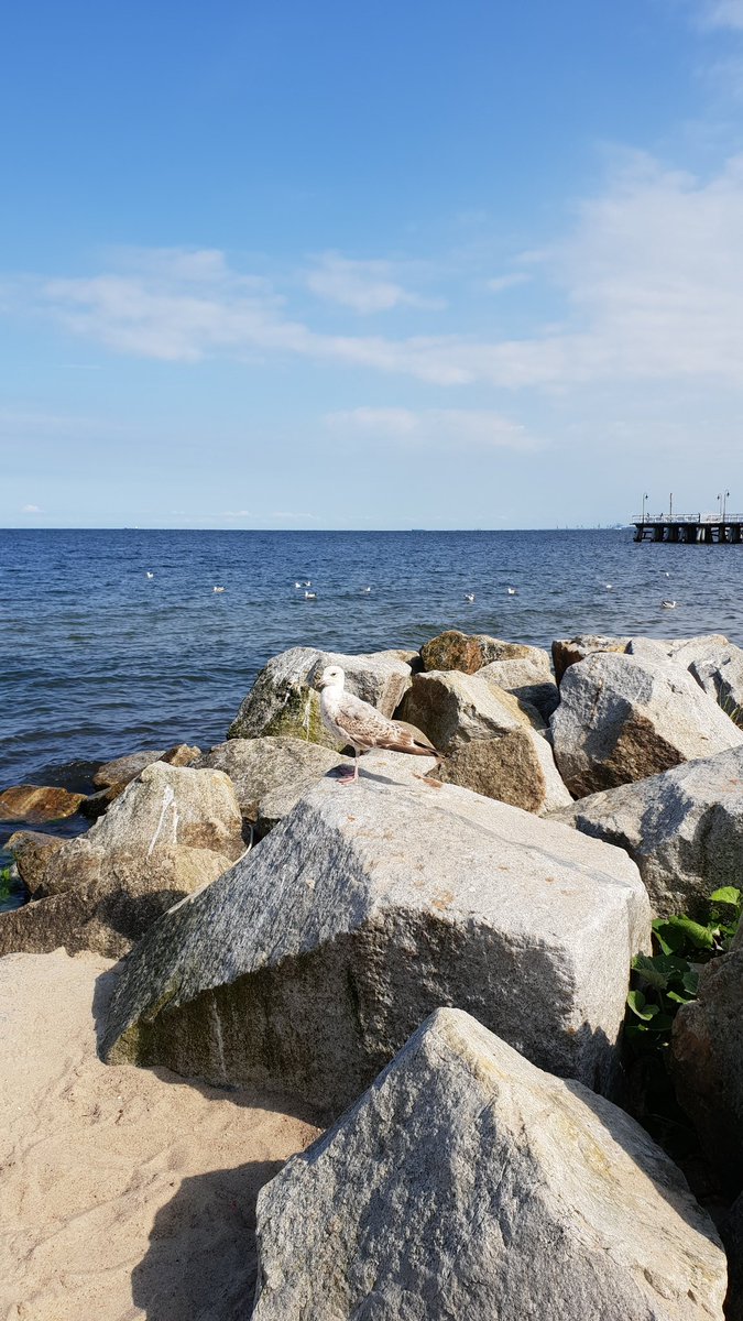 Danzig. Jetzt. Es gibt wahrlich schlechtere Orte zum Arbeiten.