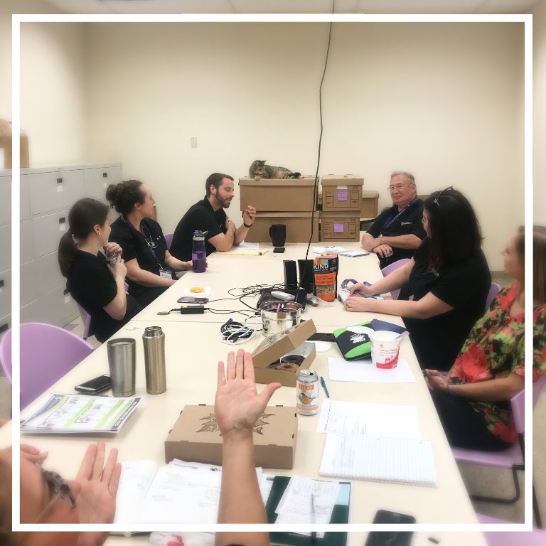 HumaneHBG's tweet photo. Every Monday HSHA's management team meets to review important events, news, and issues occurring around the shelter. This Monday, Puddin' decided she would call the meeting to order! #catexecutiveofficer #theanimalsruntheshow #whosincharge #HumaneHBG https://t.co/sNH6hw75iL
