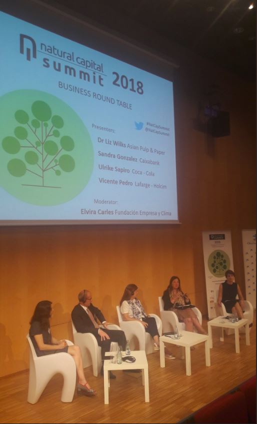 AsiaPulpPaperEU's tweet photo. At the #NatCapSummit, @WilksLIZ  talked about our natural capital framework and how this needs to be robust for investing in forest protection, connecting natural capital valuations with risk and return https://t.co/7AmagOonQw