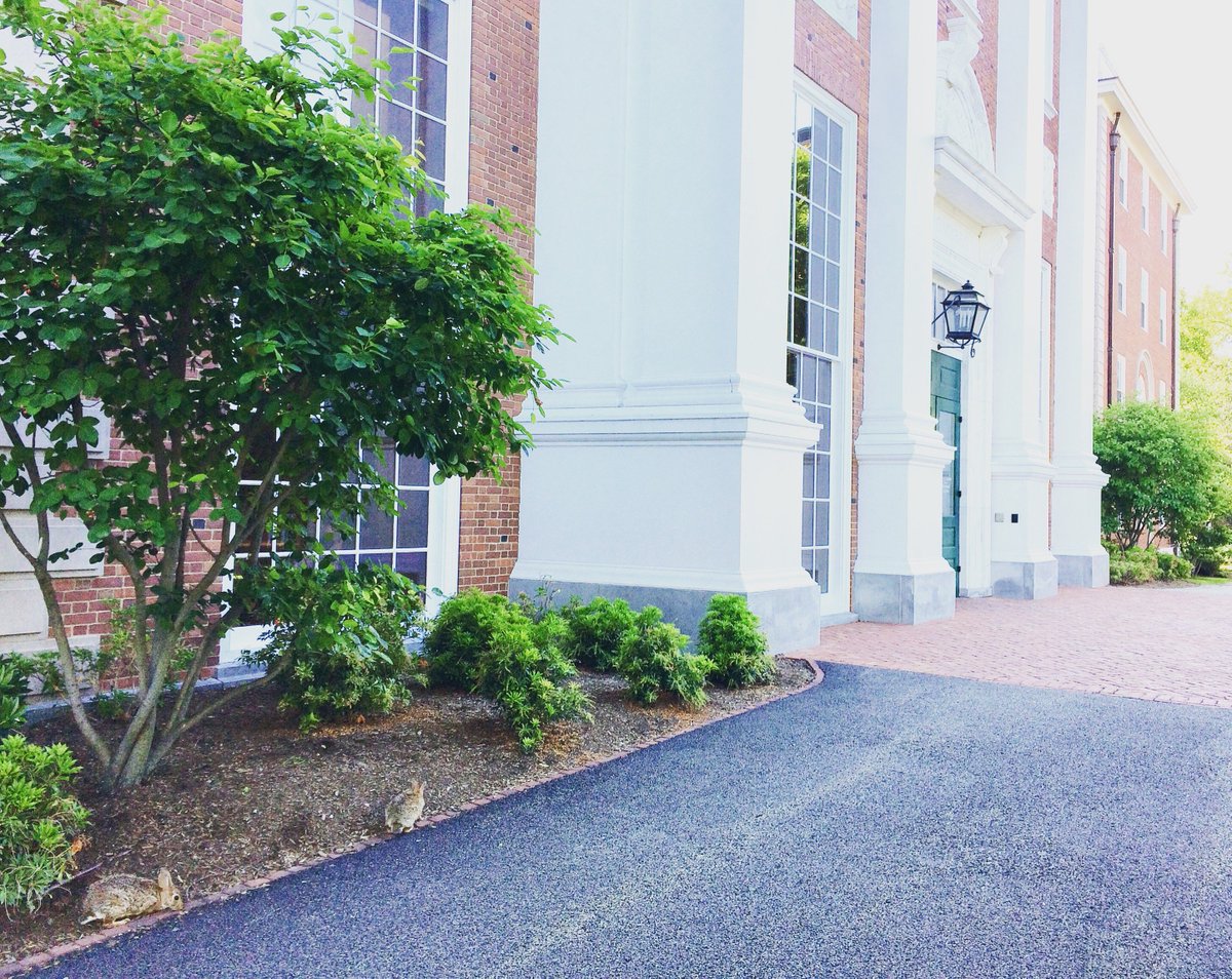 The Forum at HBS tweet media