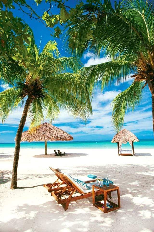 ViajesOpenmind's tweet photo. Sol, arena, el sonido del mar y las palmas bailando con la brisa es igual a relajación total con #ViajesOpenMind en #BeachesNegril. 🥂🌴
📲: 24hrs +511 946570902 / +511 940974294
Email : viajesopenmind@gmail.com
@ViajesOpenmind
#BeachesResorts #TodoIncluido #Caribe #AllInclusive https://t.co/MLBTS2HfCT