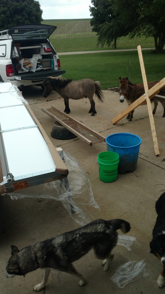 Lots of help with this door installation!