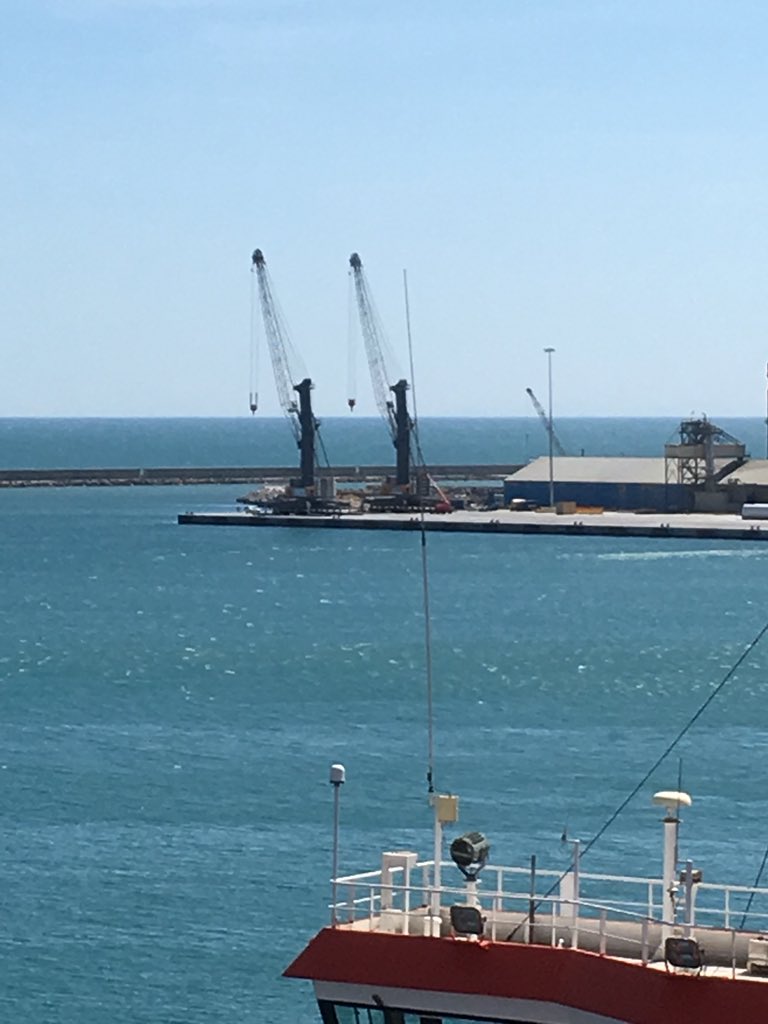 thesetois1's tweet image. 