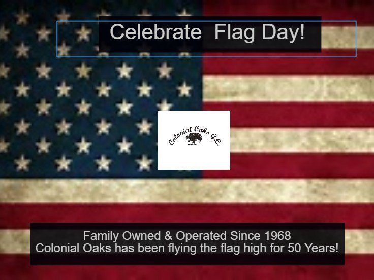 ColonialOaks's tweet photo. Celebrate Flag Day! https://t.co/CLcc5NxXoJ