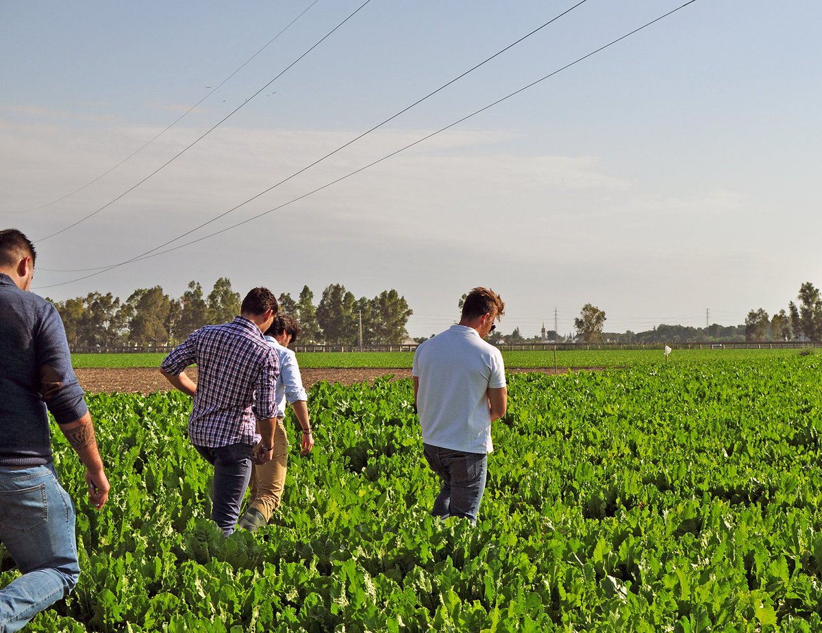 AzucareraES's tweet photo. 🌱En #Agroteo estamos implementando ya en el #campo nuestra nueva plataforma de #AgriculturadePrecisión -en versión de prueba- desde el mes pasado con #remolacheros como tú🌱 https://t.co/4bKNS5FFdi 🙌🙌🙌
#NuevasTecnologías #SomosCampo #SomosRemolacheros @hemavgroup https://t.co/fhHogJEGML
